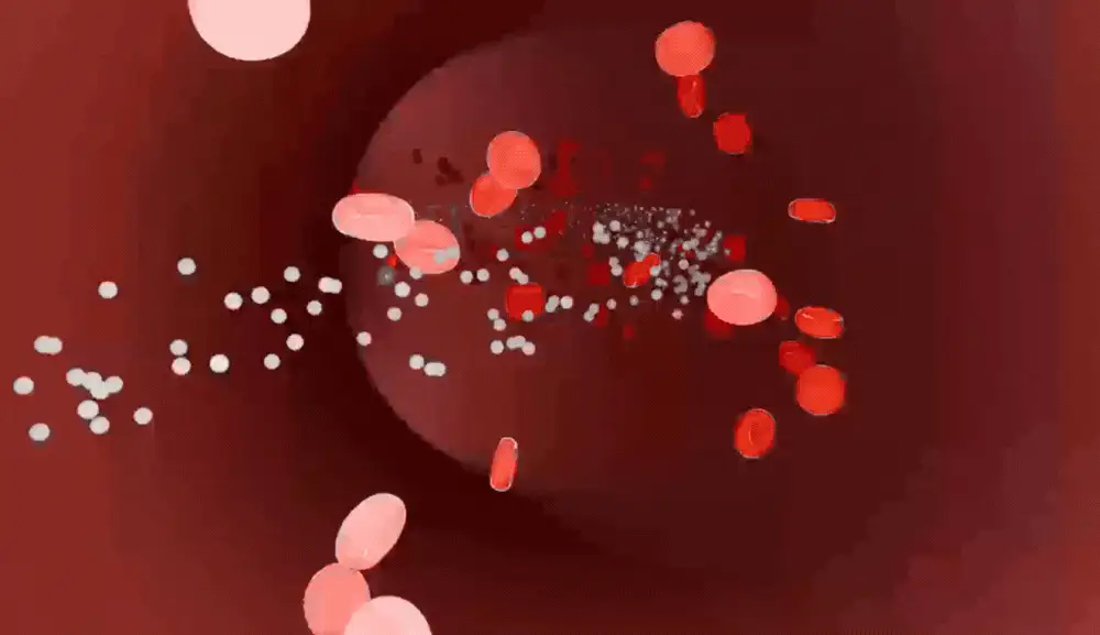 Nanopartículas recubriendo el tejido